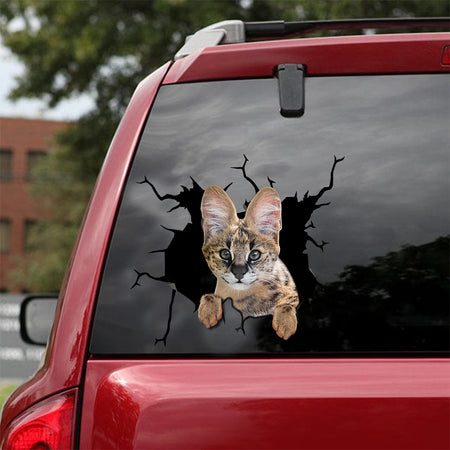 Savannah Cat Crack Head Decal You Cute Dot Stickers Anniversary Gifts By Year