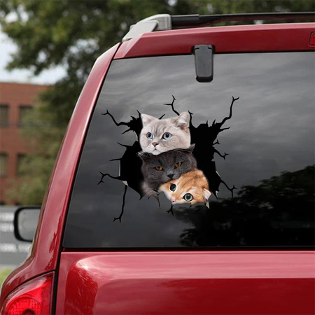[sk0380-snf-tnt] Cute Cats Crack Car Sticker Cats Lover - Camellia Print