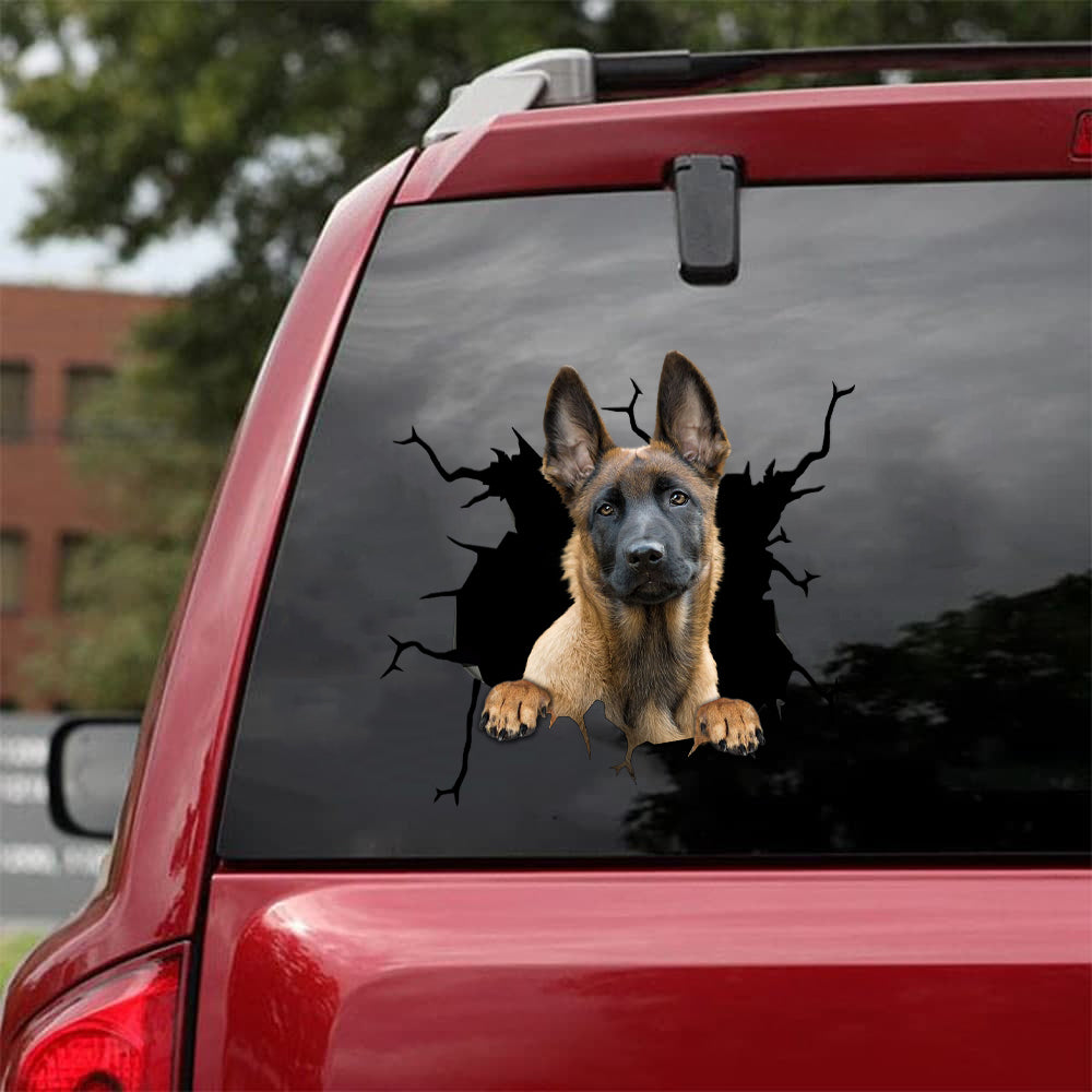Belgian malinois deals car sticker