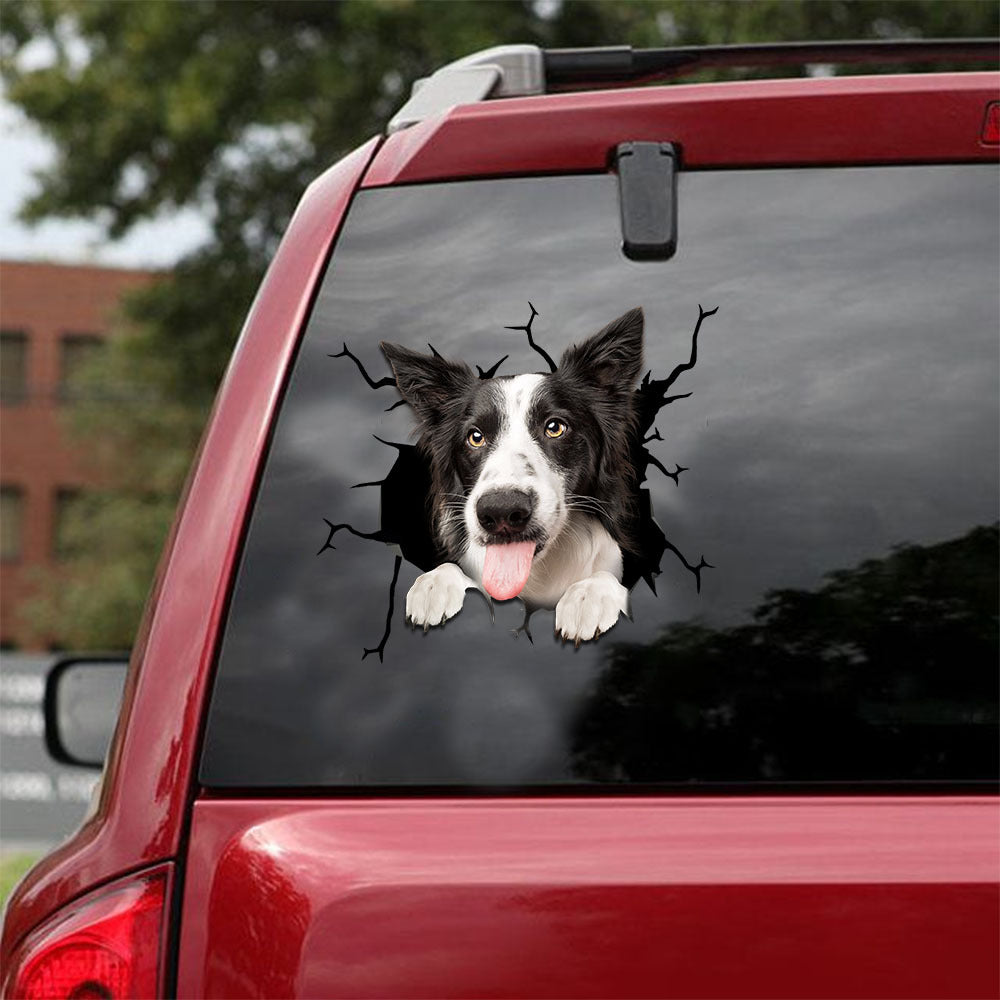 Border Collie Crack Head Decal Funny Wall Decor Sticker Paper Thank You  Gifts
