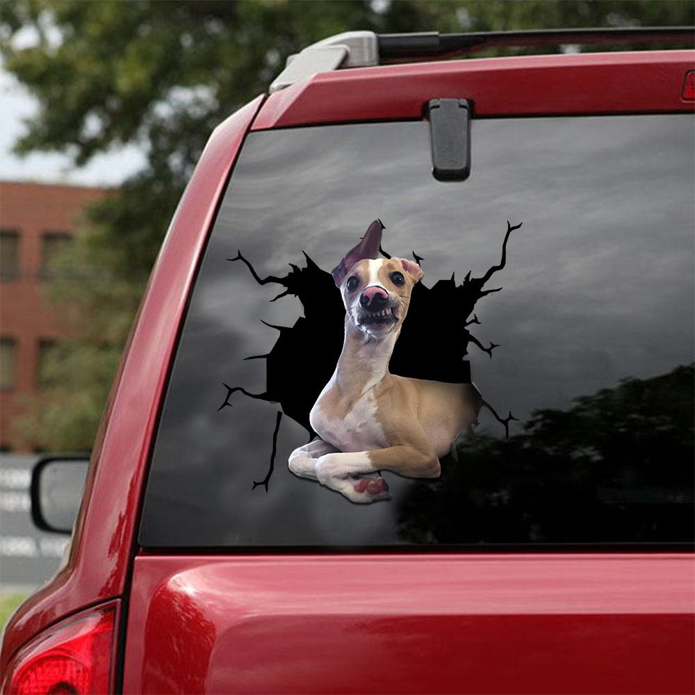 greyhound crack car sticker dogs lover – Camellia Print