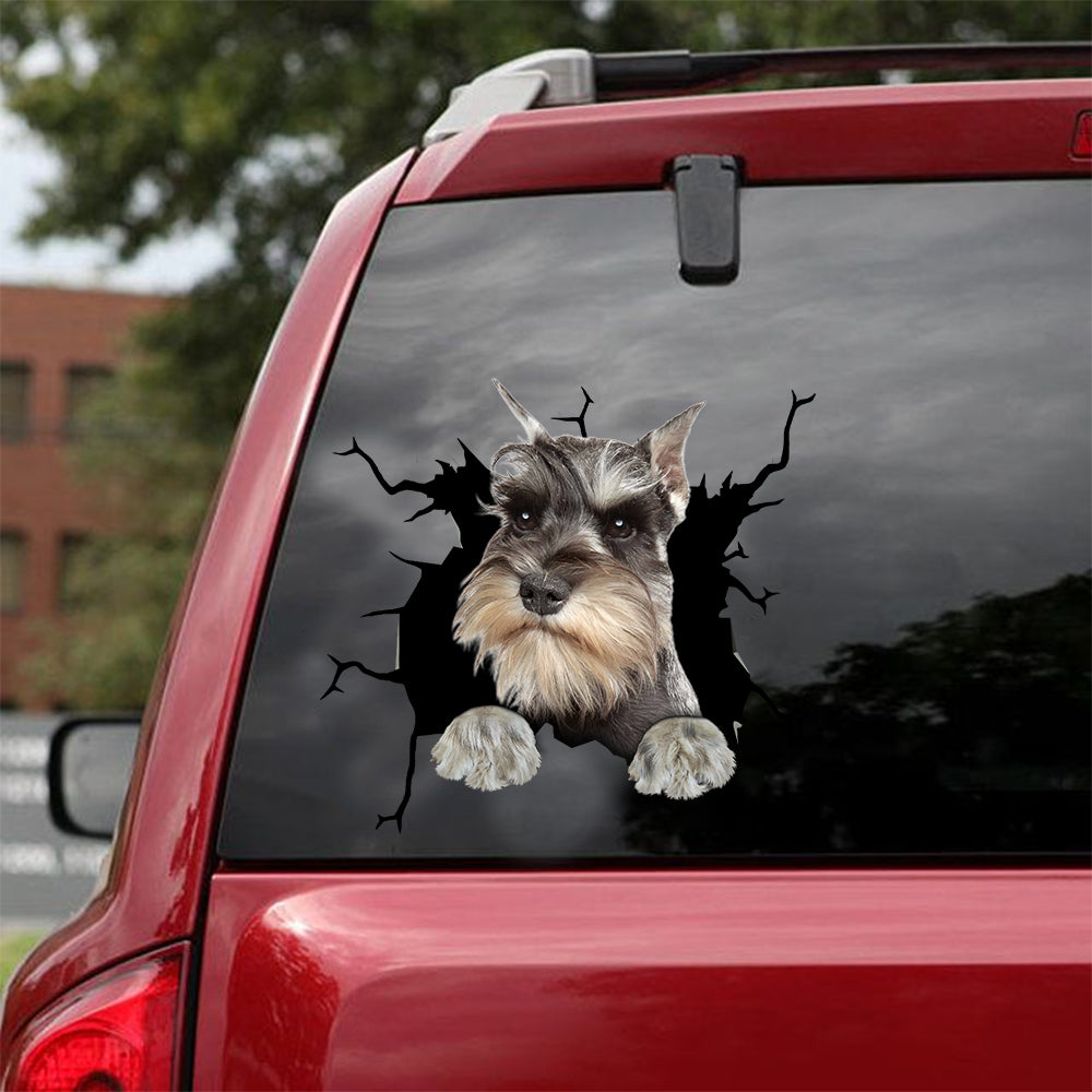 schnauzer crack car sticker dogs lover – Camellia Print