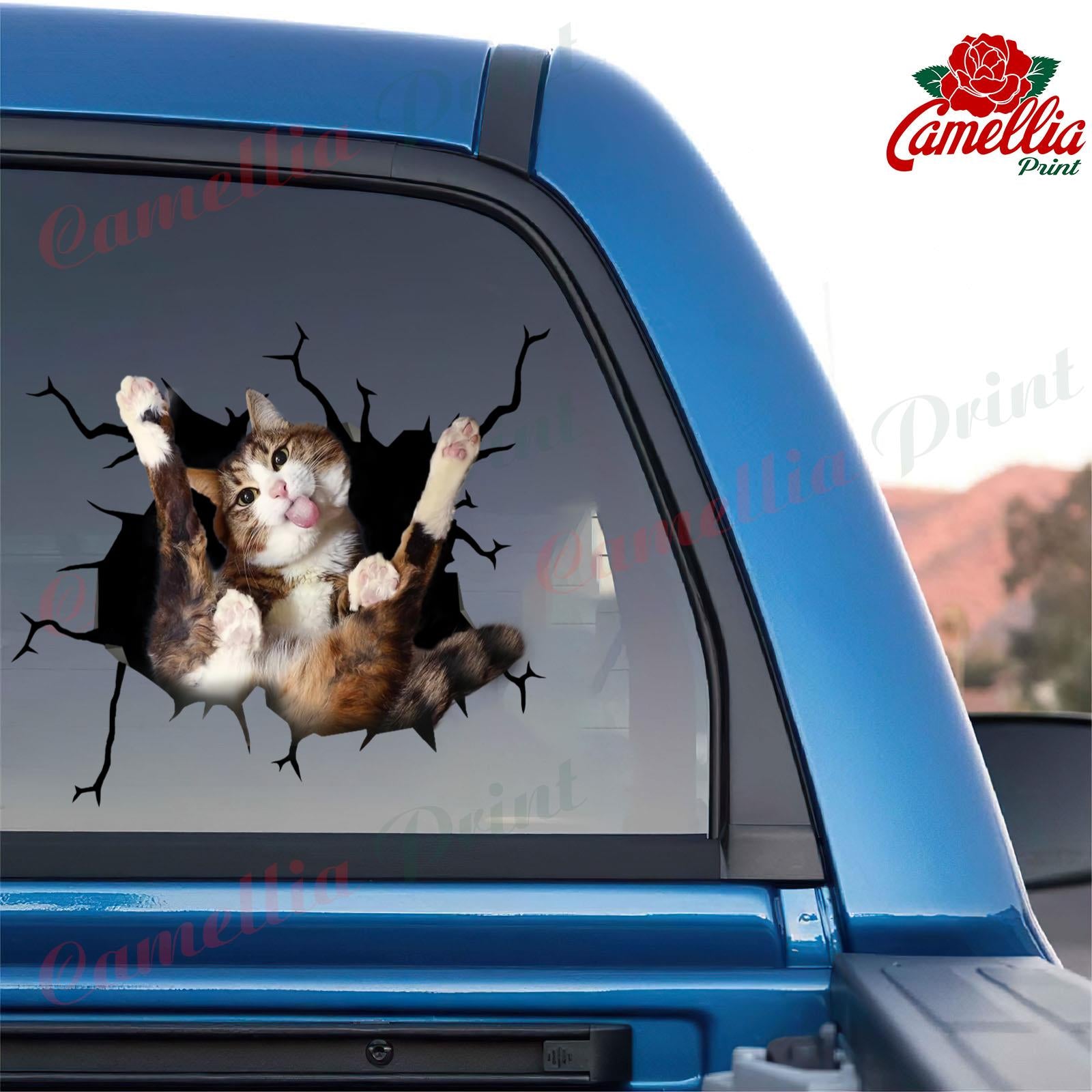 Funny Cats Crack Sticker For Car Window Nice Bumper Stickers First Com –  Camellia Print