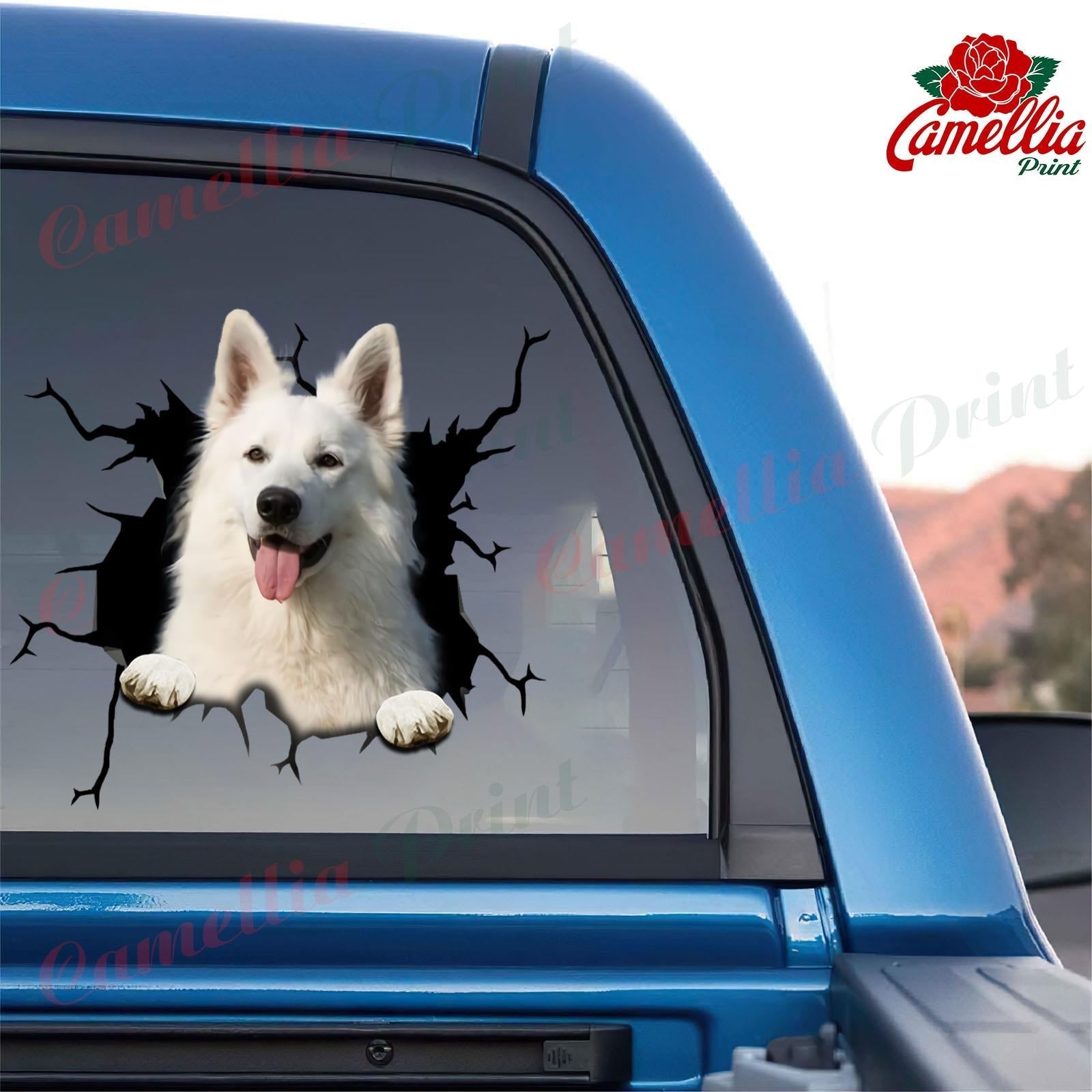 Best Dog Car Stickers for Dog Lovers and Pet Owners