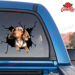 Dachshund Crack Sticker Car Funny Memes Custom Wall Decal Best Gifts