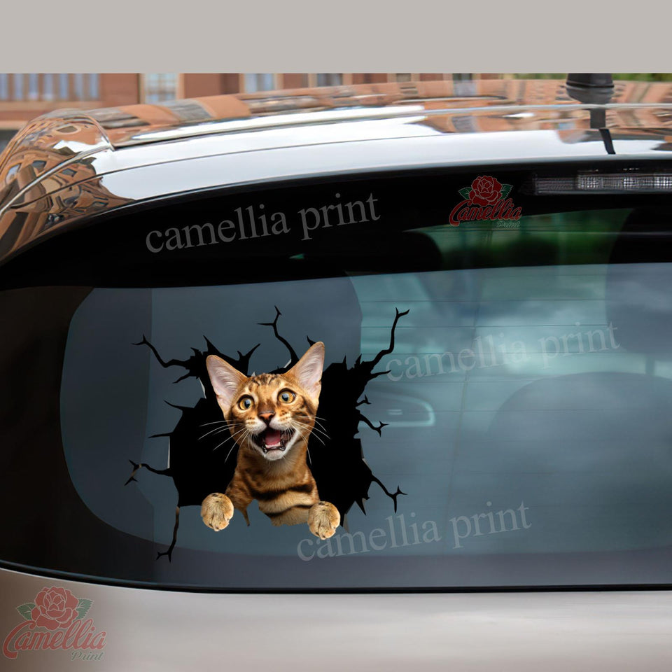 Bengal Cat Crack Bumper Sticker Funny Gifs Art Stickers Presents For Dads