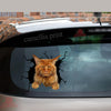 Maine Coon Cat Crack Decal Car A Cute Transparent Sticker Christmas Gifts For Couples