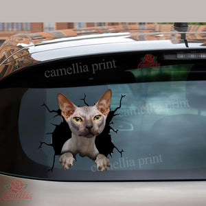 Sphynx Cat Crack Decal For Boat Cuteness Overloaded Kiss Cut Stickers Gifts For Grandpa