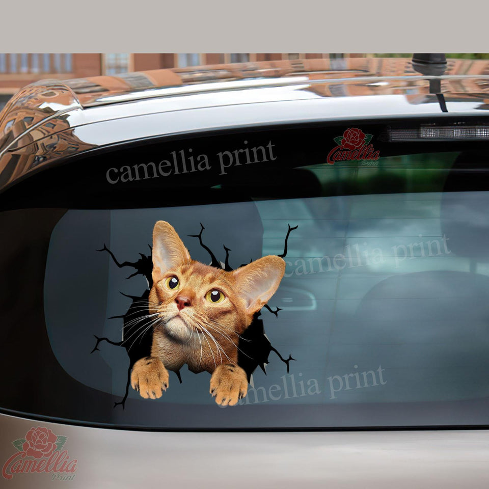 Abyssinian Cat Crack Duck Decal Lovable Face Stickers Bridal Shower Gifts
