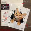 Abyssinian Cat Crack Duck Decal Lovable Face Stickers Bridal Shower Gifts