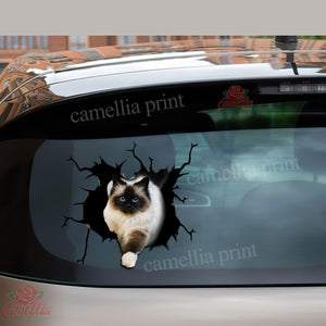 Ragdoll Cat Crack Sticker Pack Humor Vinyl Decals For Cars 21st Birthday Gift Ideas