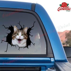 Funny Cats Crack Bone Sticker Funny Car Decals Gifts For Coworkers