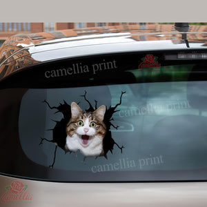 Funny Cats Crack Bone Sticker Funny Car Decals Gifts For Coworkers