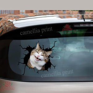 Funny Cats Crack Sticker Custom Happy Laptop Stickers Get Well Soon Gifts