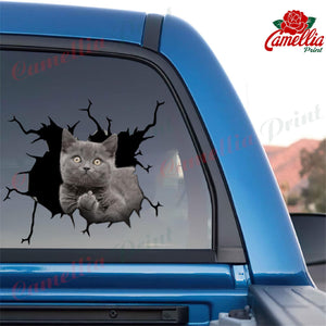 Funny Cats Crack Decal For Boat Likeable Friendship Stickers Memorial Gifts