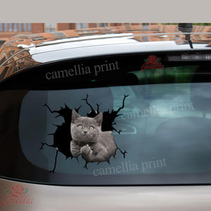 Funny Cats Crack Decal For Boat Likeable Friendship Stickers Memorial Gifts
