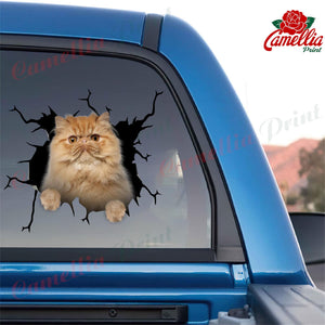 Persian Cat Crack Sticker Emoji Be Cute Custom Window Decals Graduation Gifts