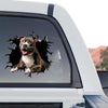 American Staffordshire Terrier graphic decal artwork in a standalone product design format.