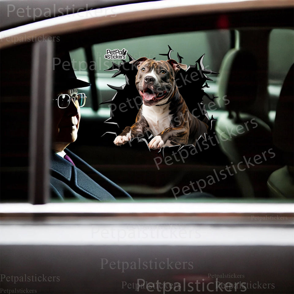 Realistic cracked glass dog sticker displayed cleanly on a white car door panel.