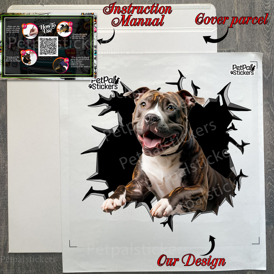 Secure shipping package containing the clear vinyl dog decal and application guide.