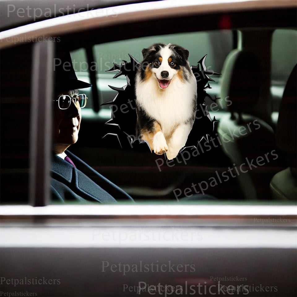 Vibrant Aussie dog decal applied smoothly onto the exterior car door.