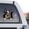 Australian Cattle graphic decal standalone product design printed on clear gloss vinyl film.