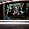 Glossy Australian Cattle dog decal displayed on a car door exterior.