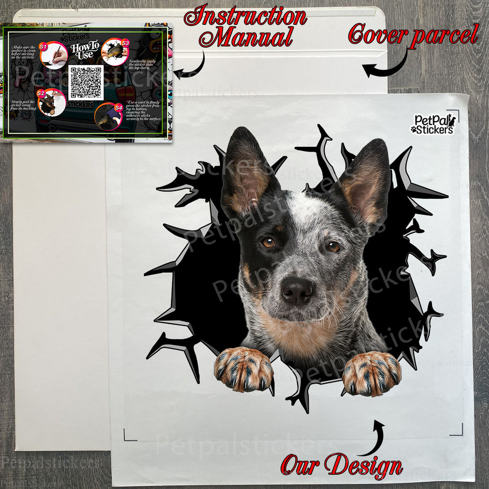 Carefully wrapped package displaying the Australian Cattle vinyl sticker with instructions.