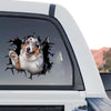 Vibrant Australian Shepherd standalone product design graphic on clear vinyl film.