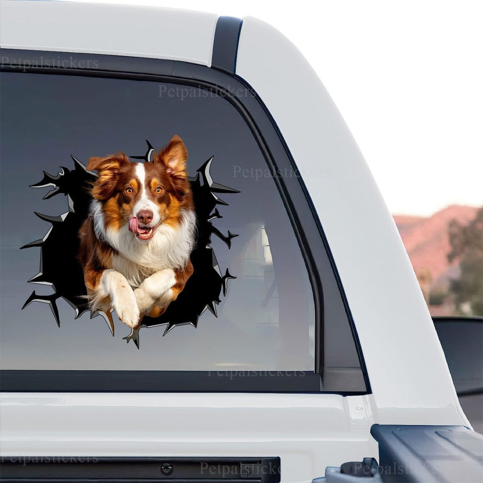 Australian Shepherd graphic vinyl decal displayed as a standalone product design on a neutral background.