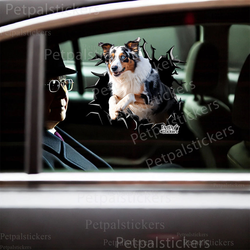 Funny Australian Shepherd decal installed neatly on a clean car door exterior surface.