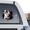 High-contrast Australian Shepherd graphic decal displayed on the rear window of a truck.