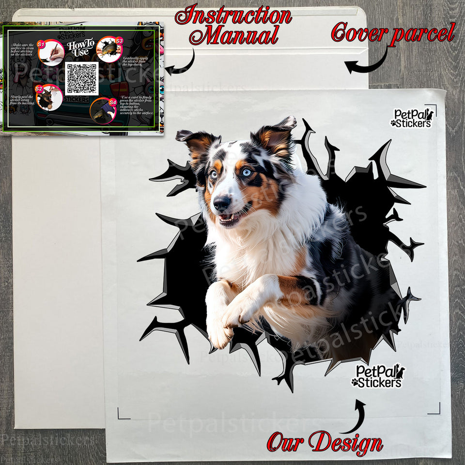 Carefully packed decal with safe protective package ready for easy application.
