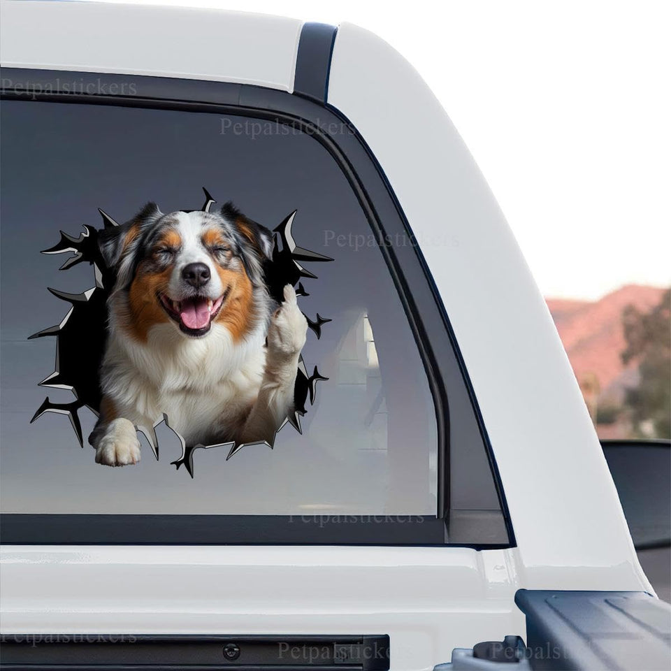 Detailed Australian Shepherd standalone product design sticker with vibrant colors.
