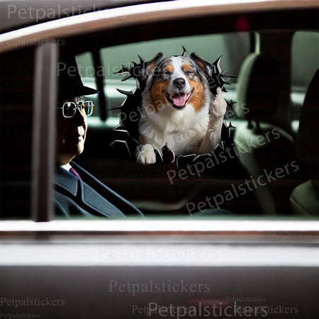 Humorous Australian Shepherd sticker placed on the smooth ceramic surface of a toilet.
