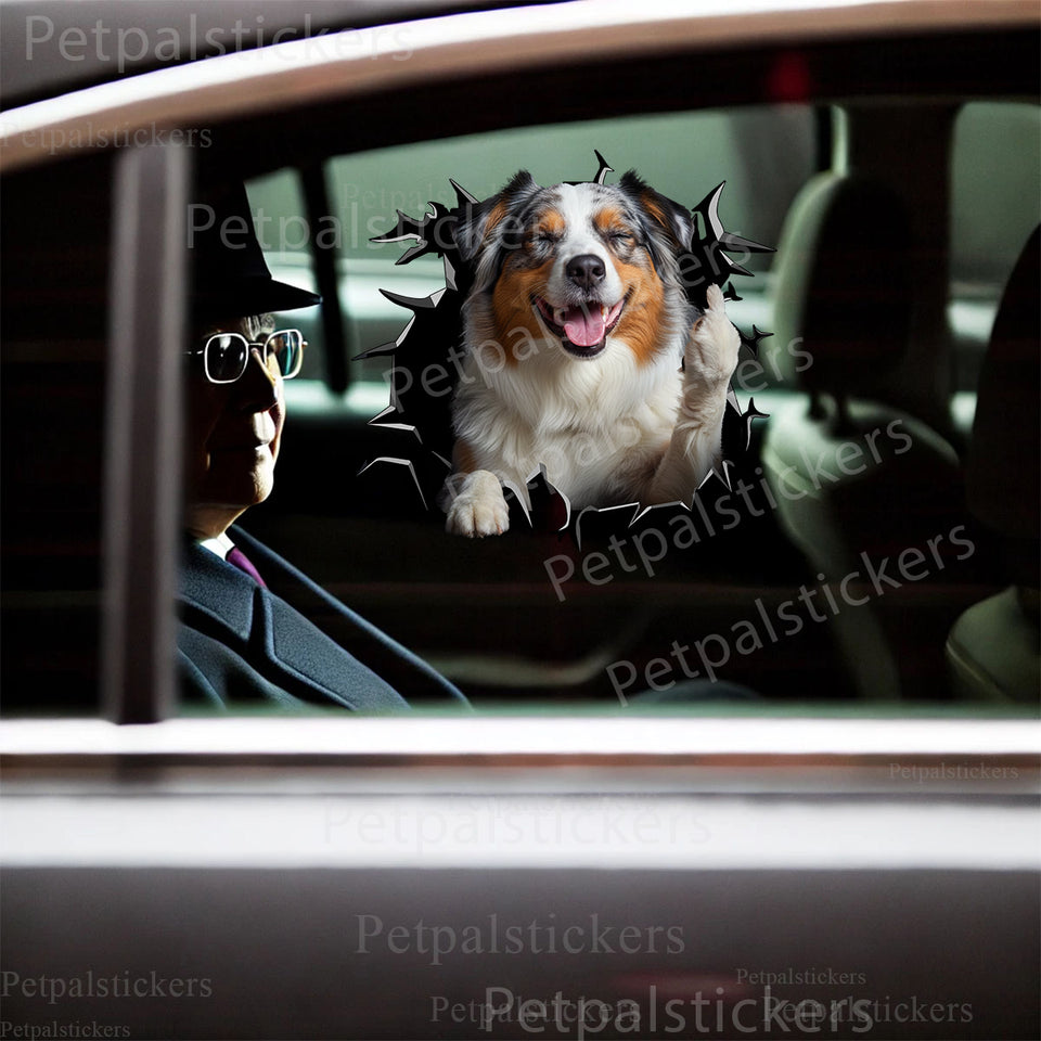 Vibrant Australian Shepherd graphic decal neatly applied to a clean car door exterior.