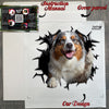 Unboxed Australian Shepherd decal sheet beside its protective package and instructions.