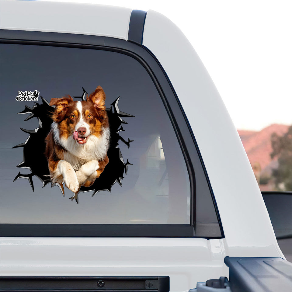 Exterior rear glass of a truck showing an Australian Shepherd decorative vinyl decal in bright daylight.
