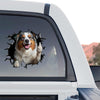 Glossy Australian Shepherd decal mounted on the rear glass of a truck.