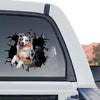 Australian Shepherd decal showing a standalone product design with realistic cracked glass graphics.