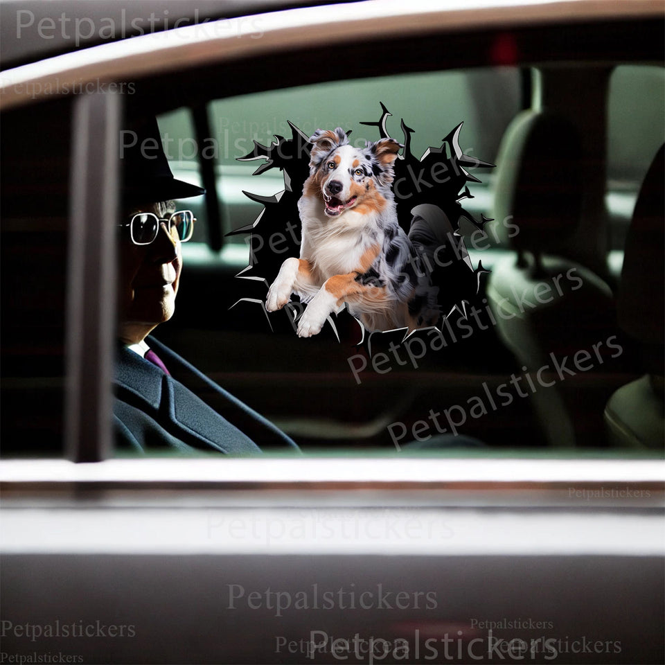 Vibrant Australian Shepherd vinyl sticker displayed smoothly on an exterior car door surface.