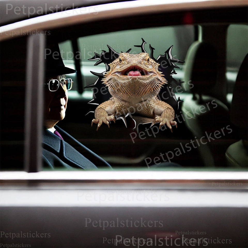 Baby Bearded Dragon Accessories decal shown applied smoothly to an exterior car door.