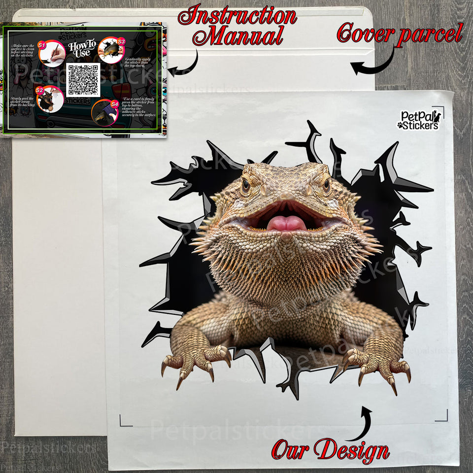Unboxed decal product package showing clear protective layers and detailed application guide.