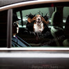 Cute Basset Hound vinyl sticker applied smoothly onto a car door exterior.