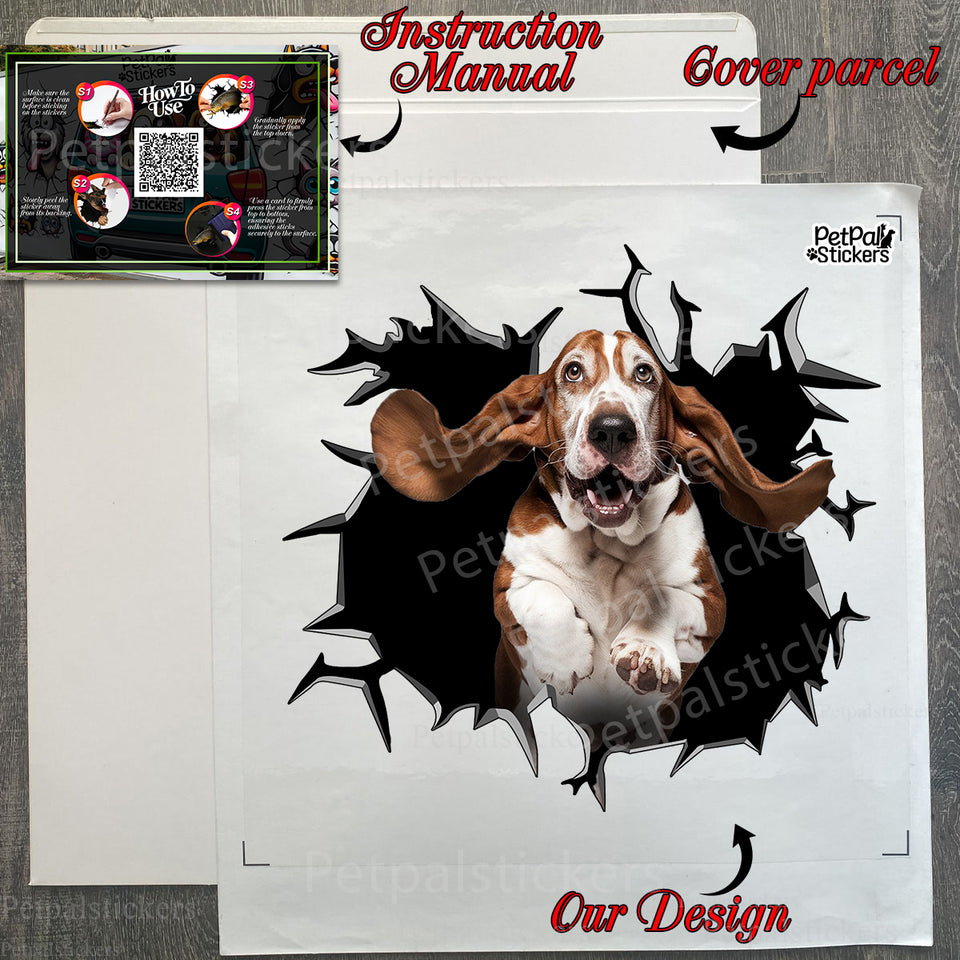 Carefully packaged Basset Hound decal with clear application instructions.