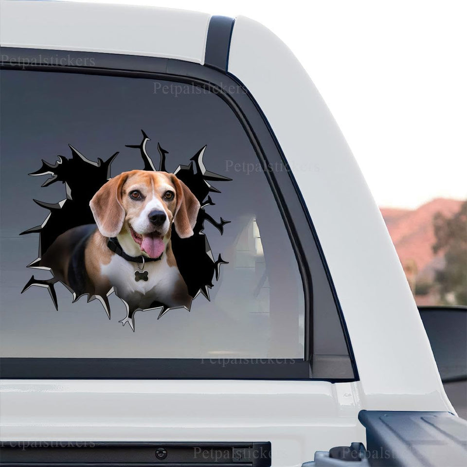 Detailed Beagle graphic decal shown as a standalone product design on transparent film.