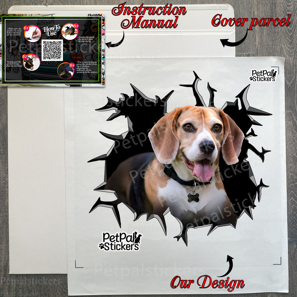 Carefully prepared Beagle sticker securely packed inside its protective package.