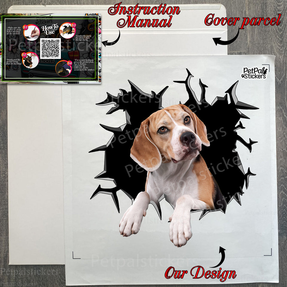 Protective unboxing package containing the premium Beagle decal and clear instructions.