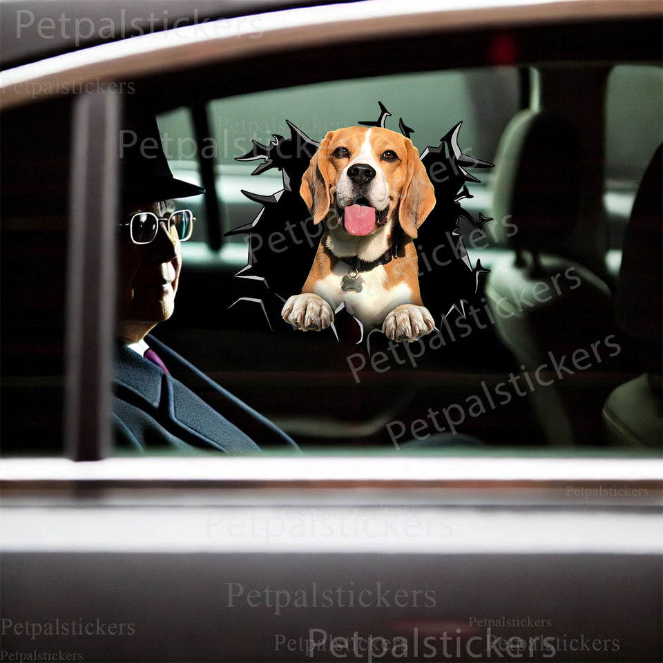 Glossy Beagle dog decal smoothly applied to a white car door exterior for custom vehicle styling.