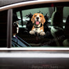 Glossy Beagle dog decal smoothly applied to a white car door exterior for custom vehicle styling.